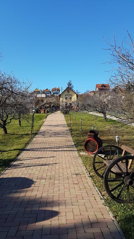 Villa Nora Хевиз Экстерьер фото