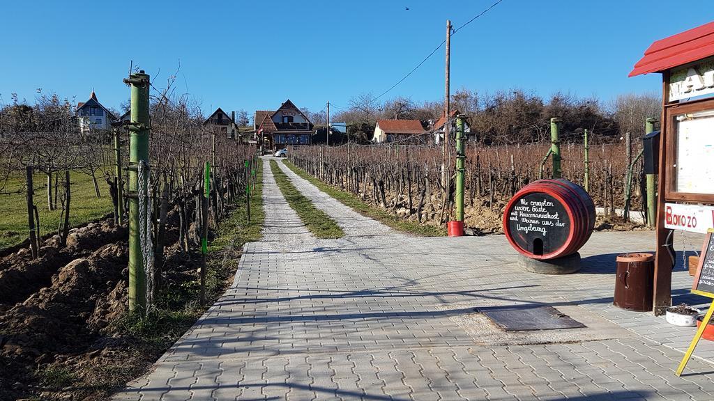 Villa Nora Хевиз Экстерьер фото
